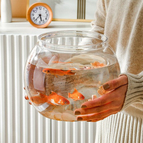 Clear fishes tank - clear,