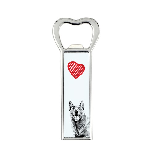 Berger belge malinois - belge,