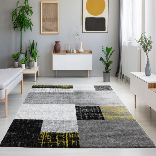 Moderne salon tapis - salon,