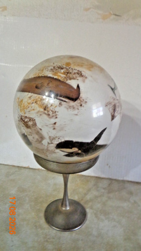 Boule perruque verre - boule,