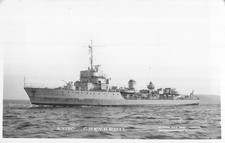 CP AVISO DEER - 63181