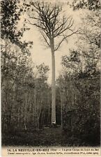 Old postcard La Neuville en Hez- Le gros Chene du fond du Sac FRANCE (1020688)