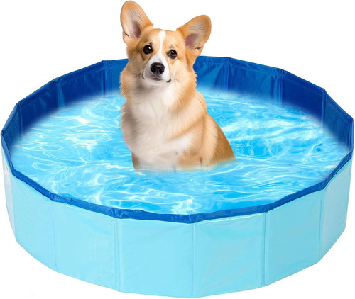 Piscine pour chiens chats - pour,