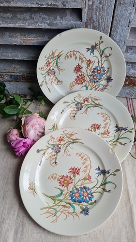 Anciennes assiettes plates - 3,