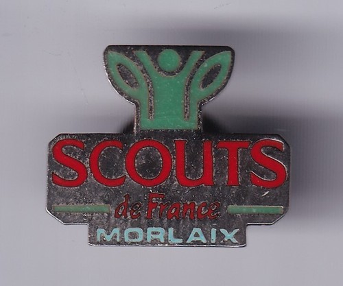 Rare pins pin ong scout - pin's,