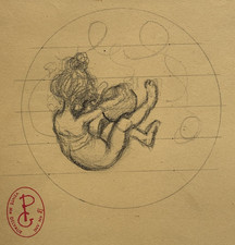 Putto Fille Ballon DESSIN