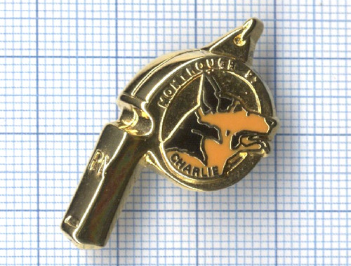 Pin police nationale - pin's,