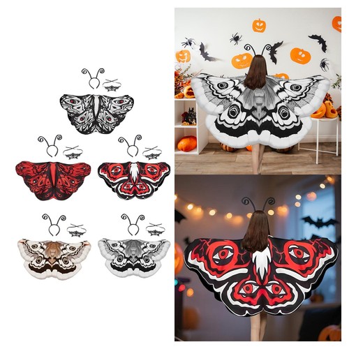 Ailes papillon nuit - ailes,