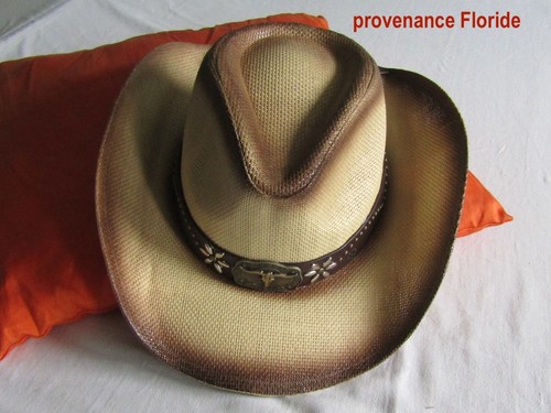 Chapeau cowboy cowgirl - cowboy, ou