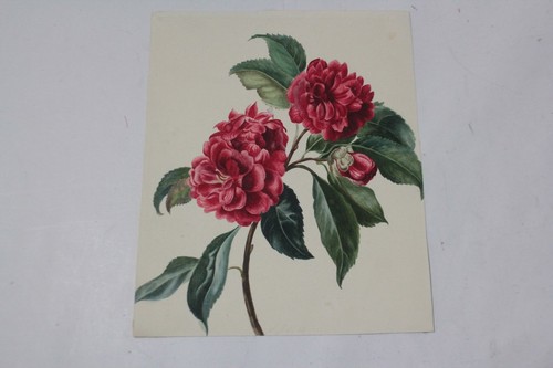Dessin original aquarelle - dessin,