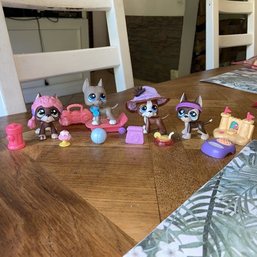 Lot little petshop pet - little, shop