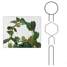 Support de plante robuste en