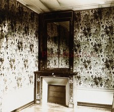 Bedroom Fireplace Decoration c1910 Photo Glass Plate Stereo Vintage V15L25n3