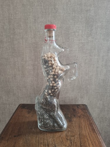 Bouteille verre cheval - bouteille, en
