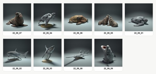 Animaux océans global - de,