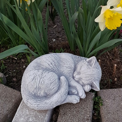 Chaton statuette - , en