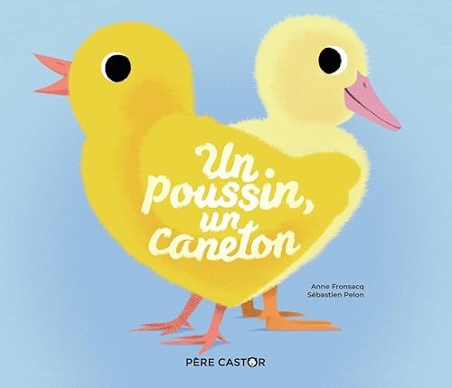 Poussin un caneton - (ne),