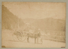 France, Charrette à âne sur