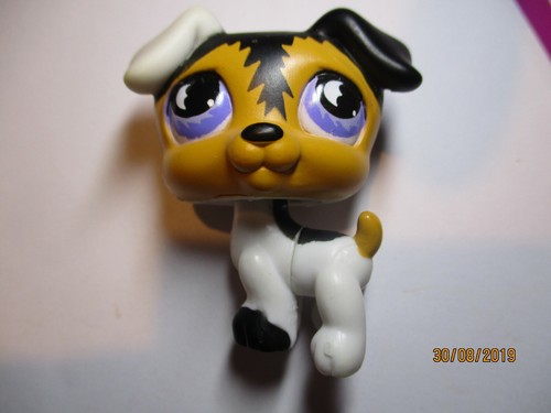 Petshop chien jack - petshop,