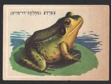 Jeu de cartes grenouille