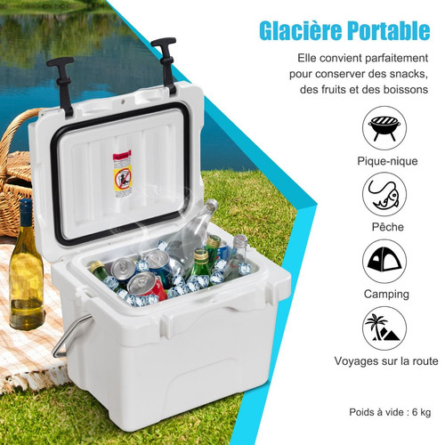 Glacière électrique - glacière,
