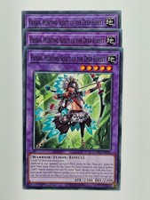 Yu Gi Oh - 3x DOOD-EN084 Faisan, Hunting Scout of the Deep Forest - Common