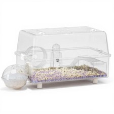 Enclos hamster transparent