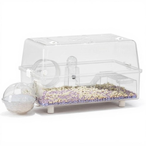 Enclos hamster transparent