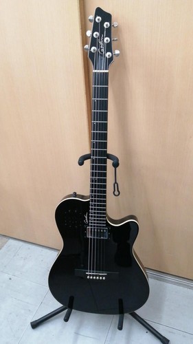 Guitare acoustique godin - guitare,