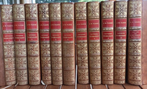 1925 souvenirs entomologiques - 1925,