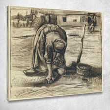 Planteuse De Pommes De Terre