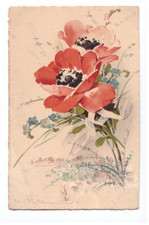 Bouquet de FLEURS / COQUELICOT