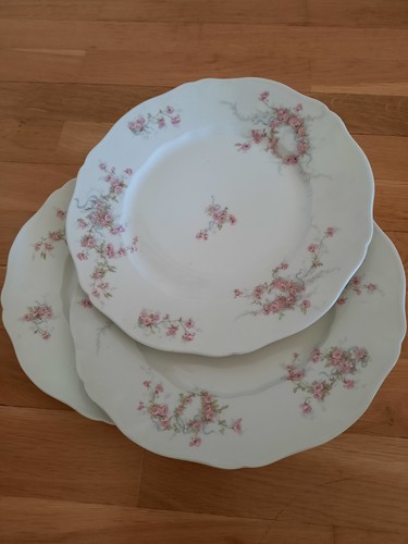 Lot assiettes plates - assiettes,