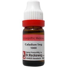 5 x Dr. Reckeweg Caladium