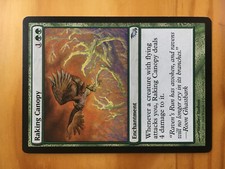 Mtg Shadowmoor Raking Canopy SP