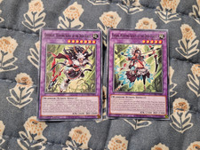 Chevreuil + Faisan, Hunting