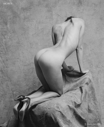 Natalie 35651 chair art - 35651.06, b&w