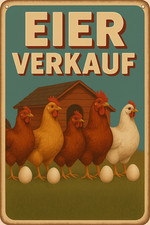 Oeufs vente poules plaque en