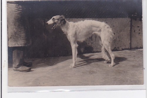Cyprien carte photo - carte,