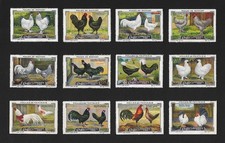 POSTER STAMPS HENS BRAHMA