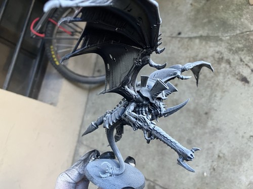 Tyran des ruches hive tyrant - tyran,