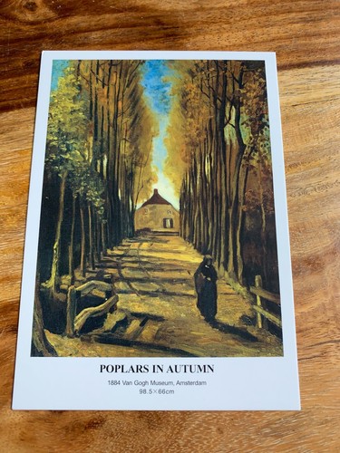 Carte postale 14x10 vincent - carte,
