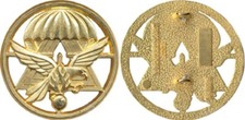 Insigne de béret GSIGN