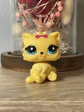 ?Petshop Chat Persian 3566?