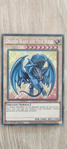 Dragon blanc aux - dragon,