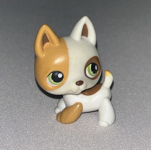 Hasbro lps original - original, little