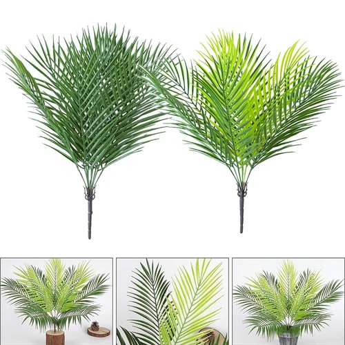 Arbre feuilles palmier - arbre,
