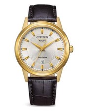 Montre Pour Homme Citizen