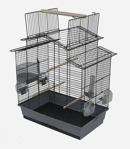 Cage oiseaux pour - oiseaux,