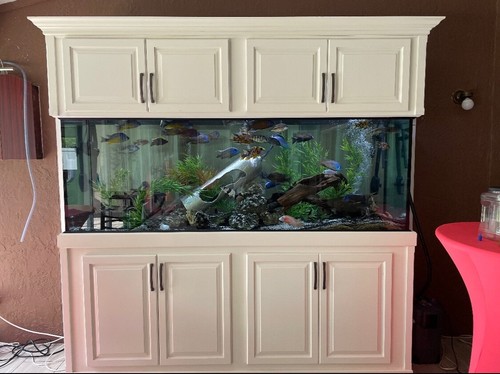 265 gallon aquarium with - aquarium,